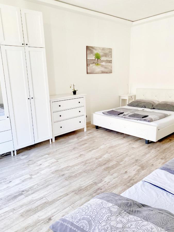 Luxury Apartment In The Centre Ac Parking Garden Budapest Exteriör bild